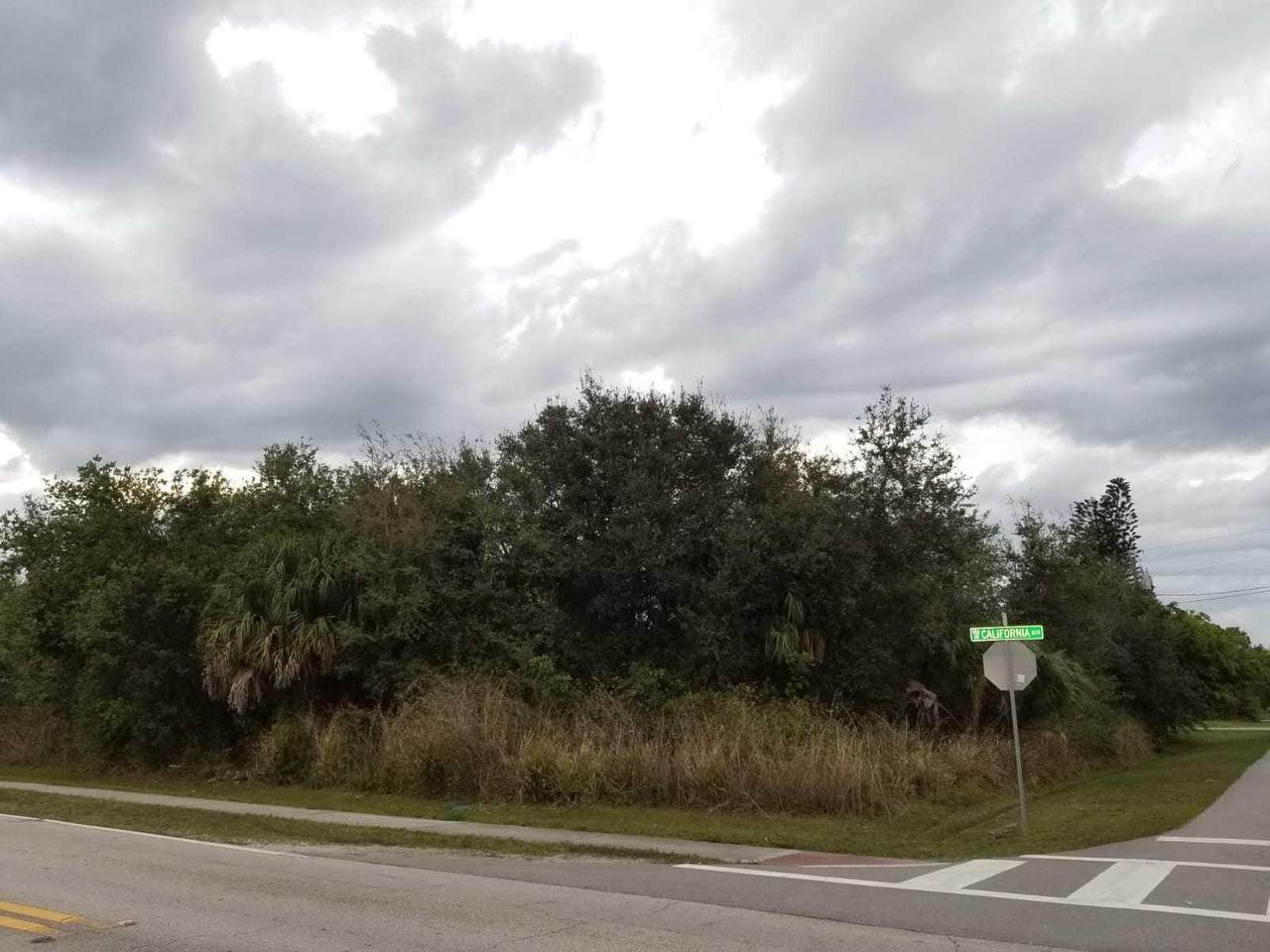 0 California Sw Boulevard - Photo 1