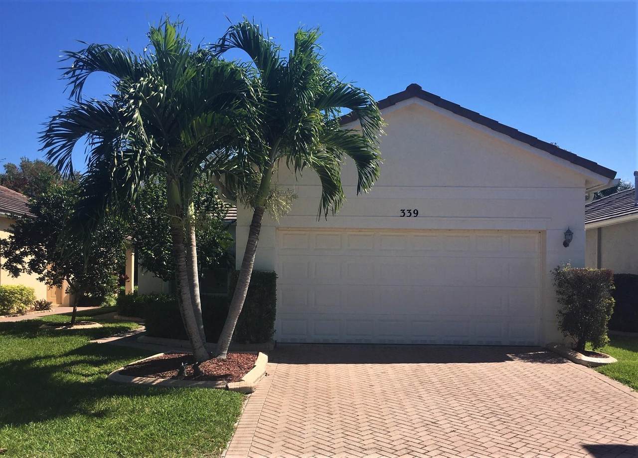 339 Coconut Key Way - Photo 1