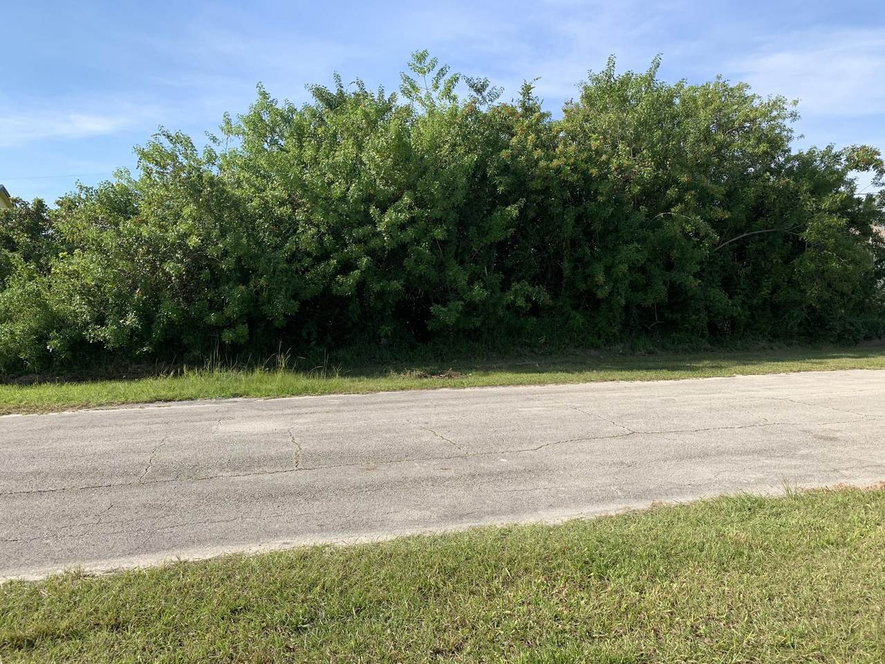 4058 Mcintyre Street - Photo 1