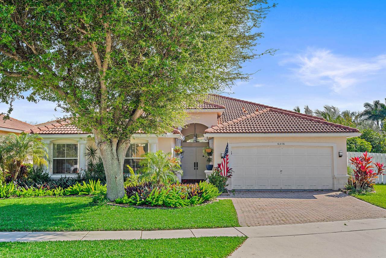 6256 Shadow Tree Lane - Photo 1