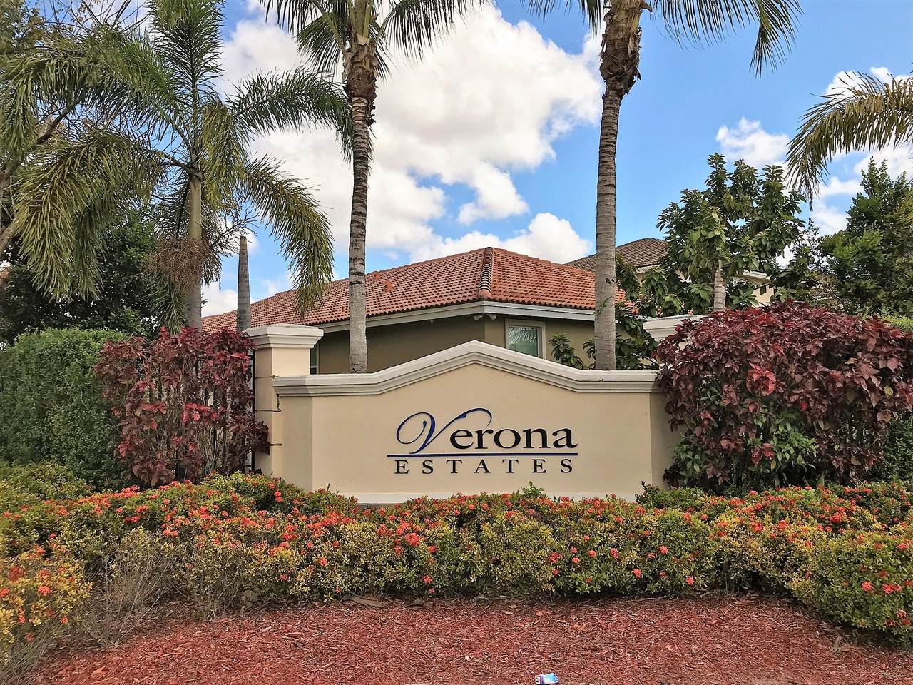 5628 Caranday Palm Drive - Photo 1