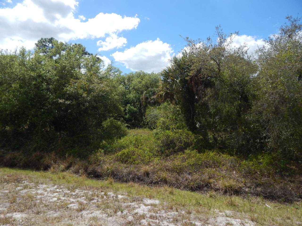 570 Olivo Street - Photo 1