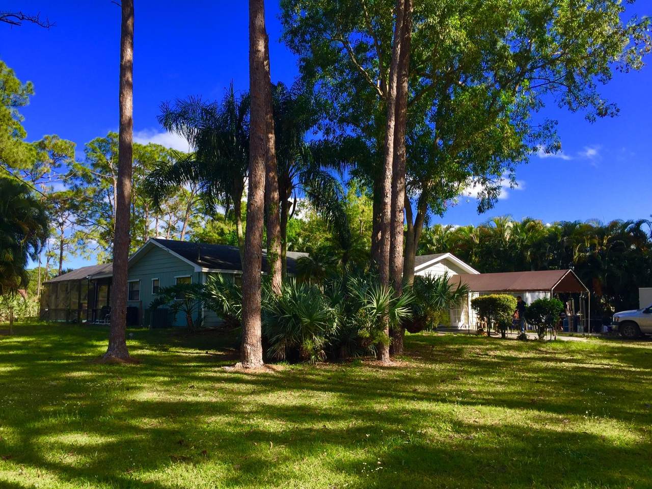 16586 Haynie Lane - Photo 1
