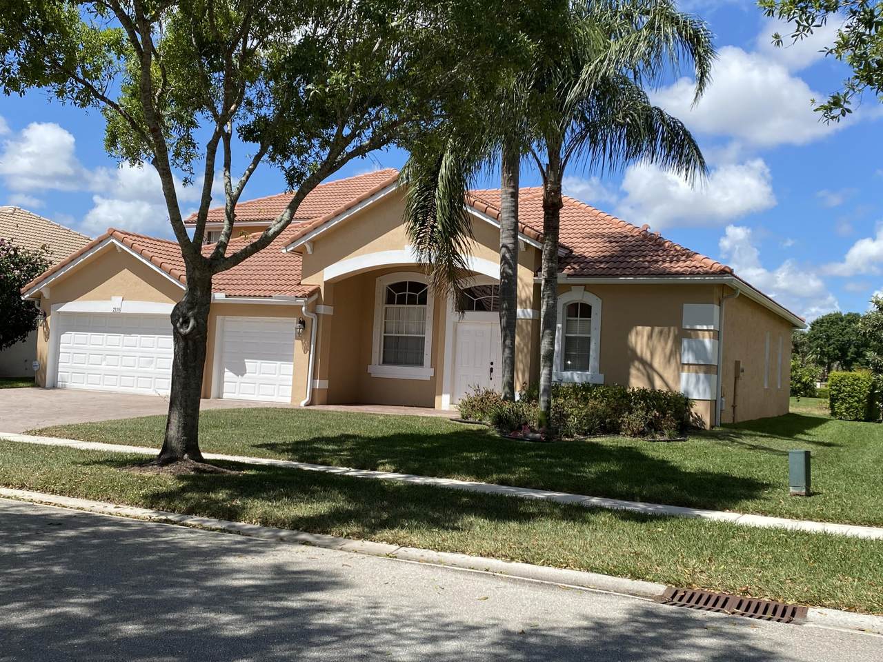 7339 Serrano Ter Terrace - Photo 1