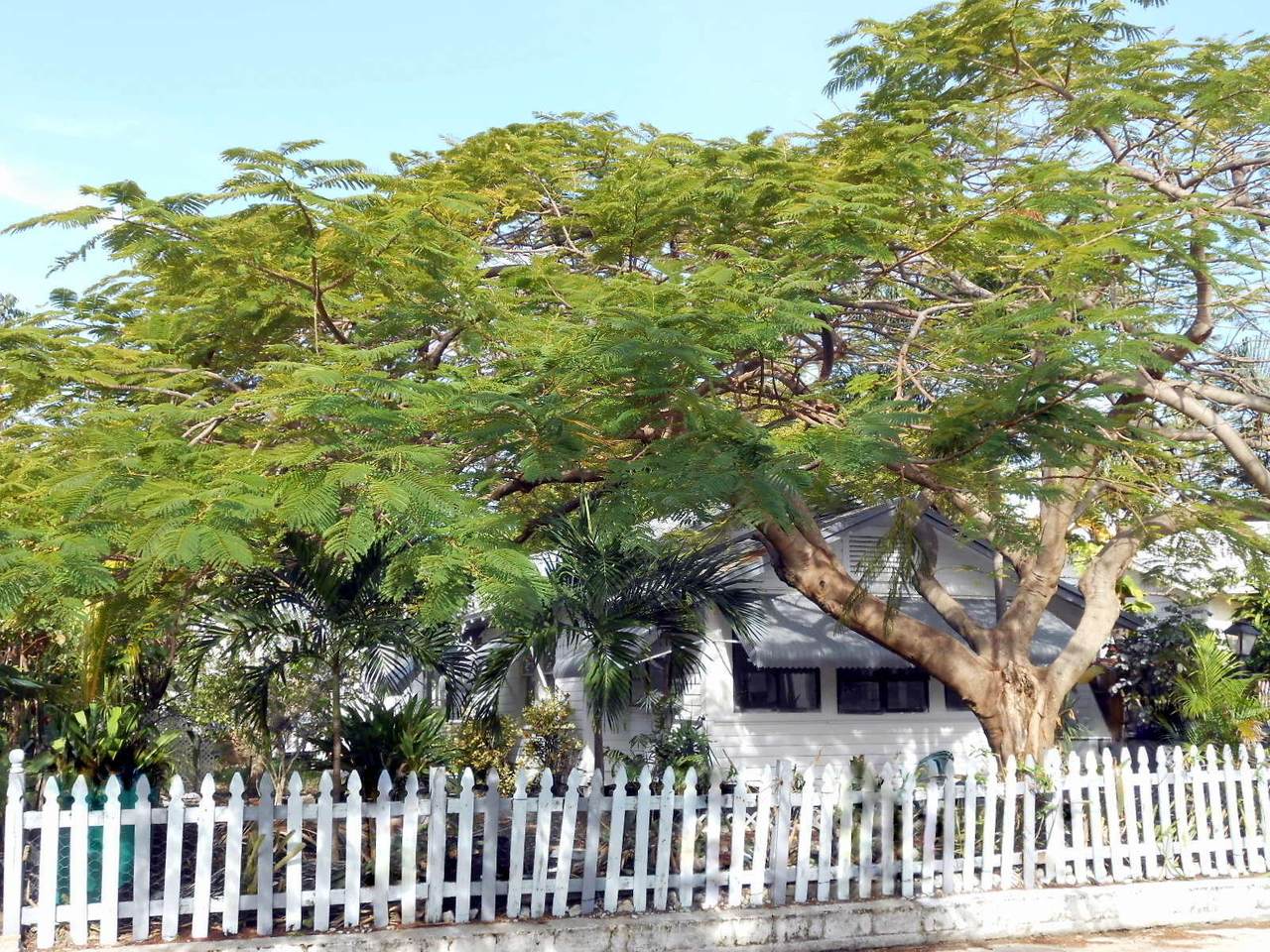 311 K Street - Photo 1