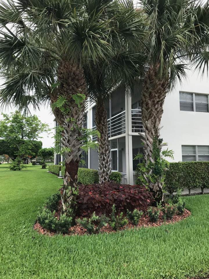 85 Brighton C - Photo 1