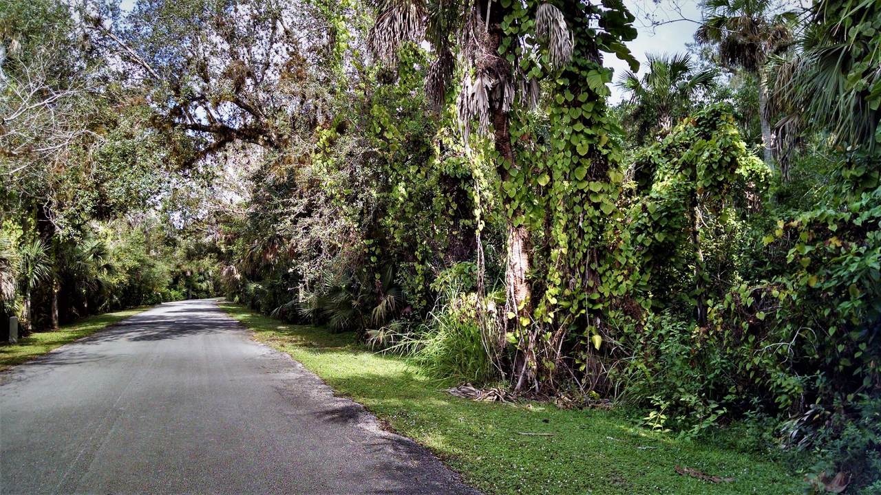 1901 Old River Road - Photo 1