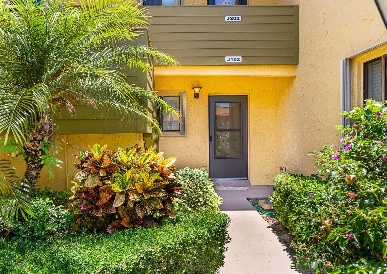 5323 Miles Grant Road - Photo 1