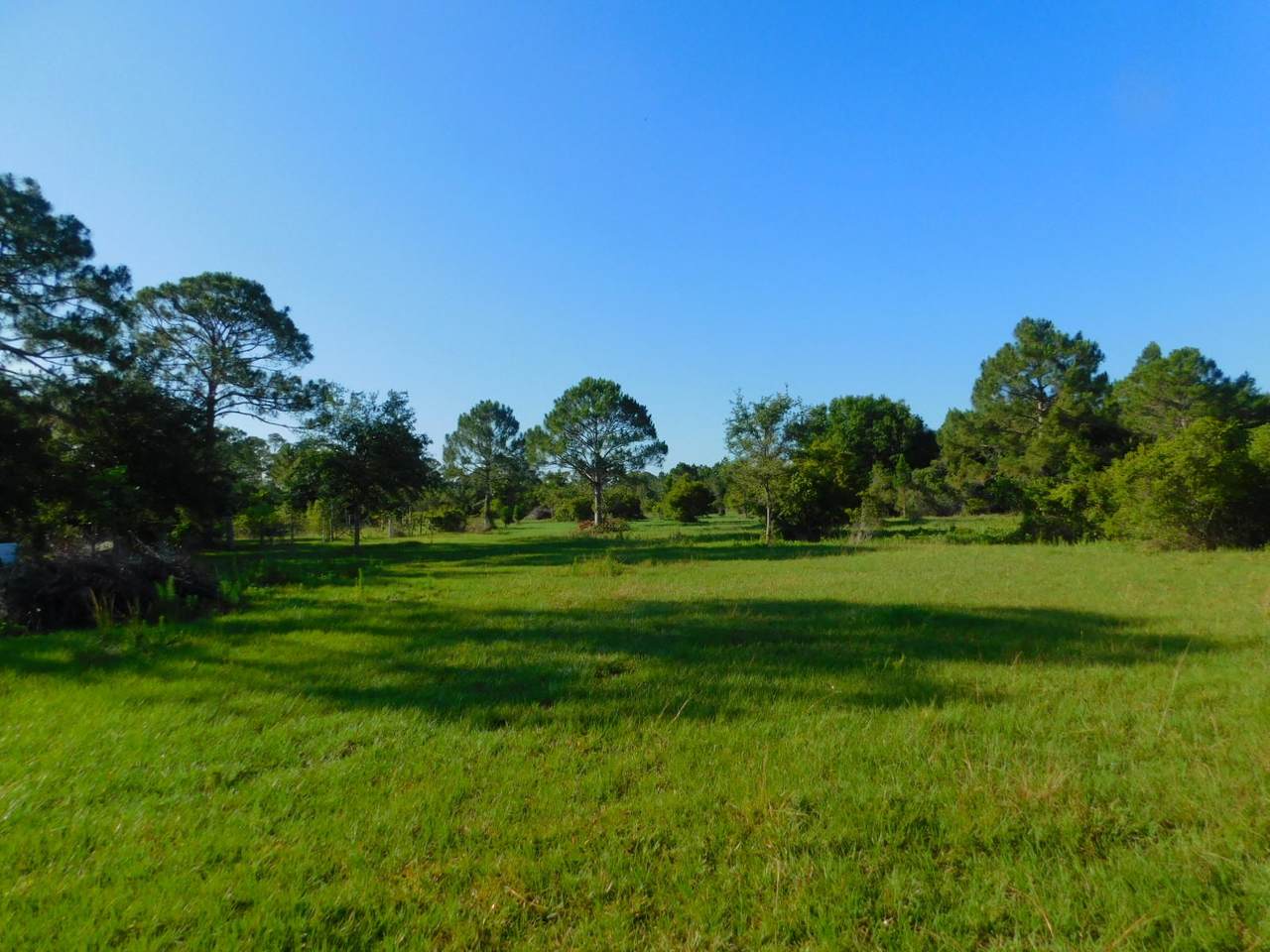 19200 Glades Cut Off Road - Photo 1