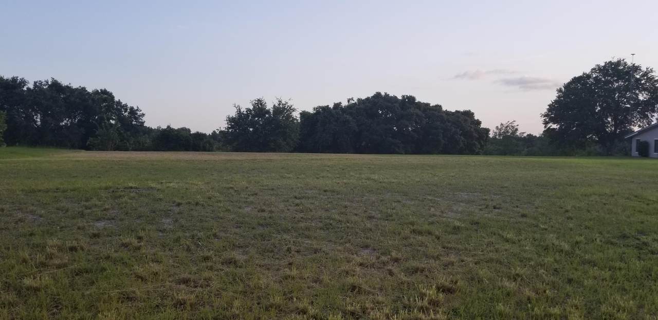 13338 144th Parkway - Photo 1