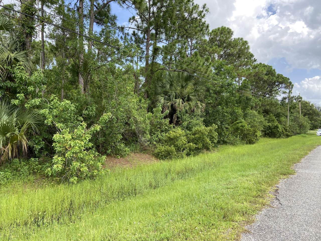 5116 Silver Oak Drive - Photo 1