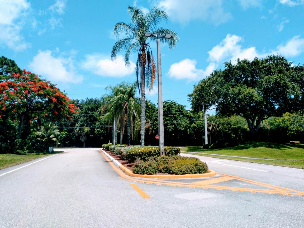 4252 Palm Bay C Circle - Photo 1
