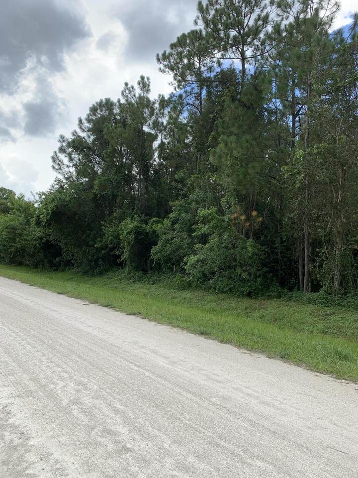 00 82nd Road North - Photo 1