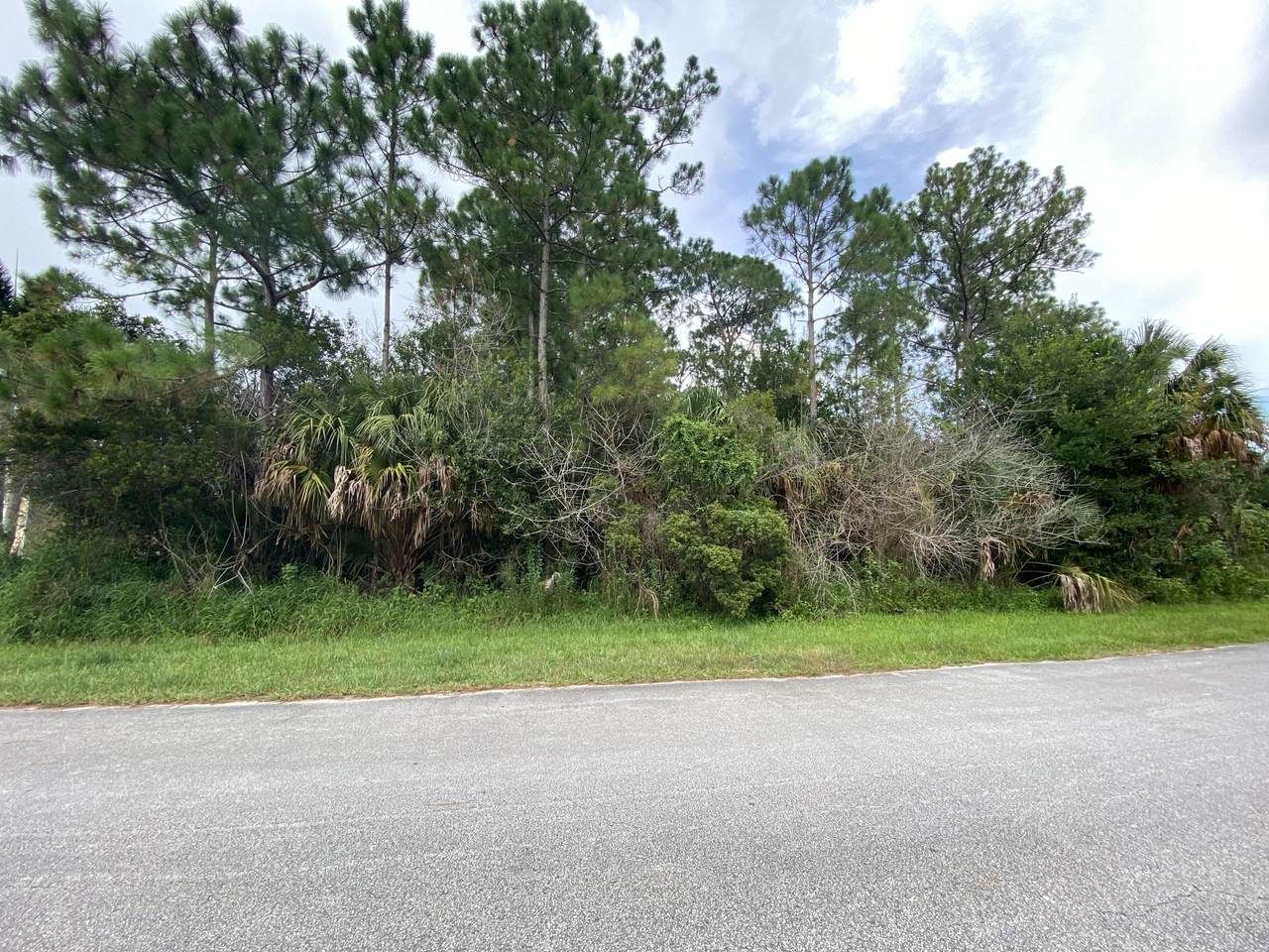 2017 Driftwood Street - Photo 1