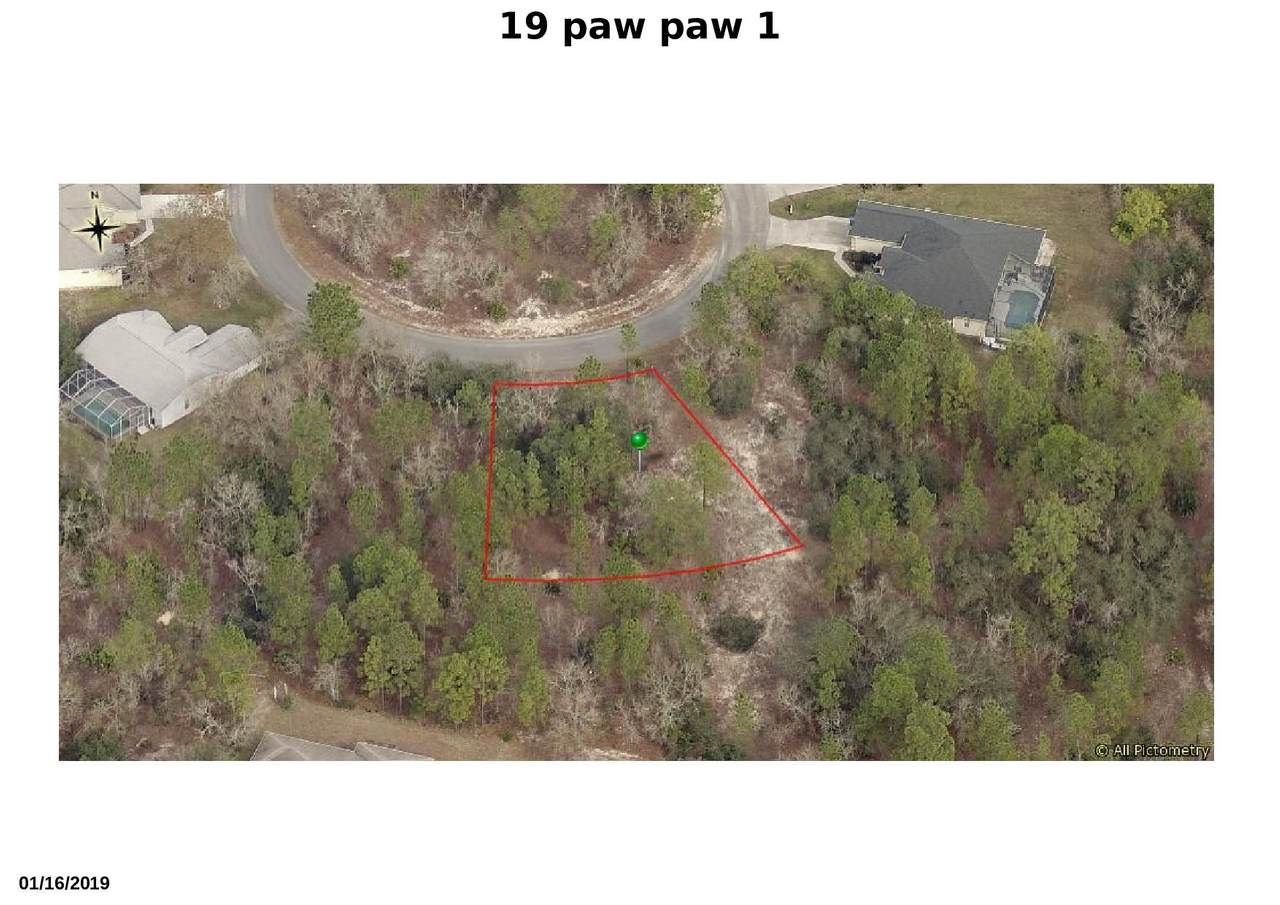 19 Pawpaw Court - Photo 1
