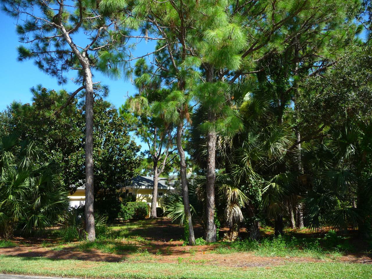797 Hampton Woods Lane - Photo 1