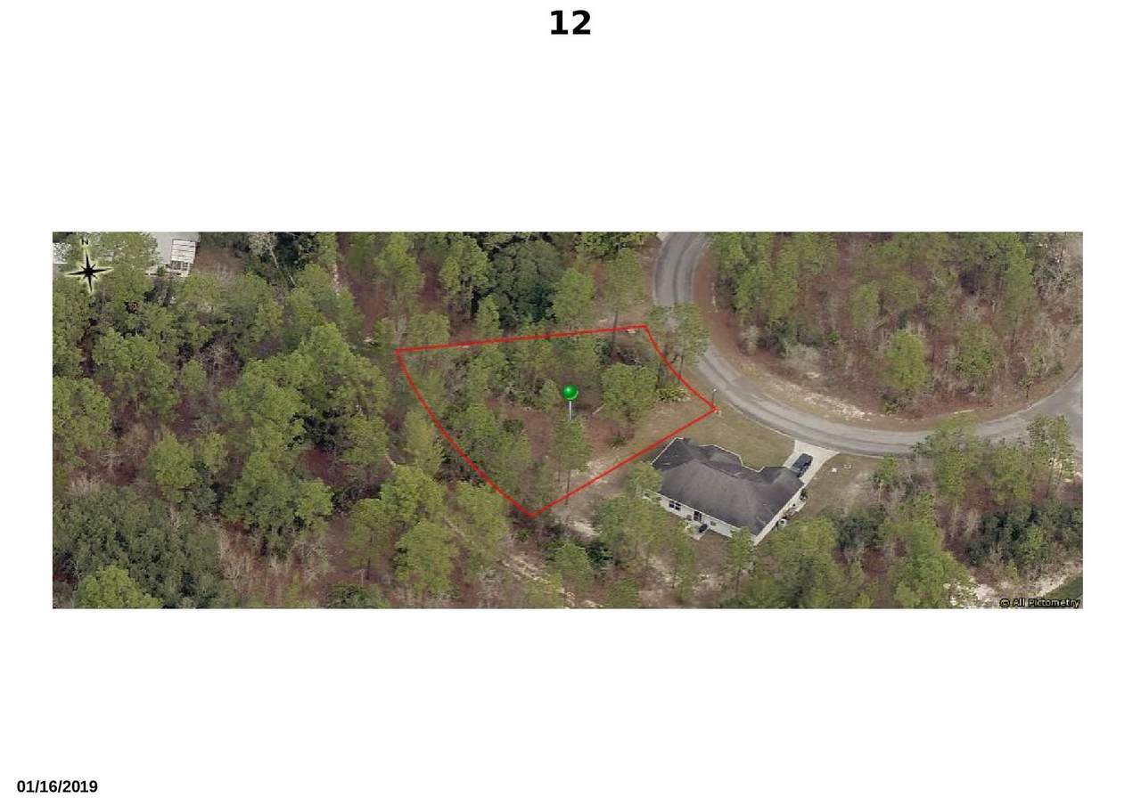 12 Mayten Court - Photo 1