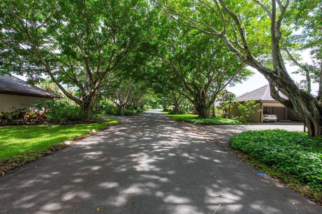 2785 Polo Island Drive - Photo 1