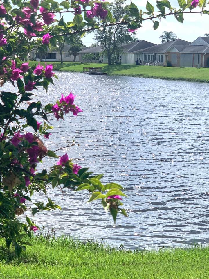 6794 Picante Circle - Photo 1