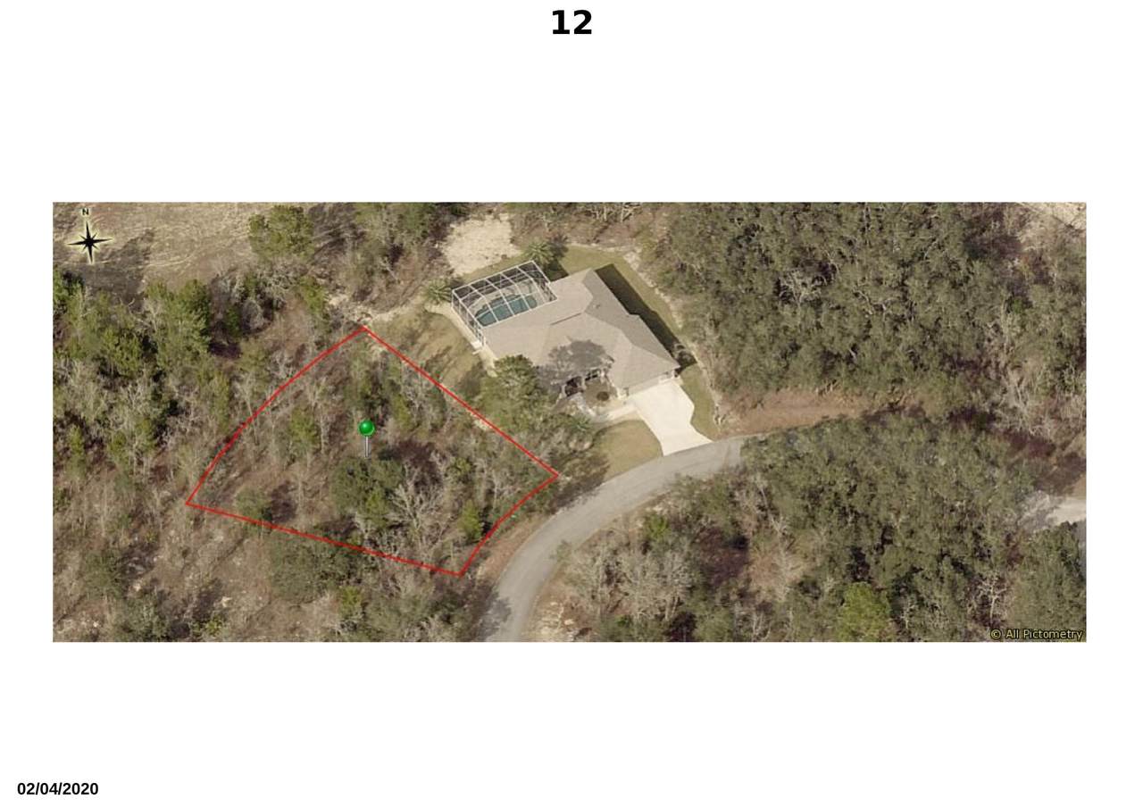 12 Nemesia Court - Photo 1