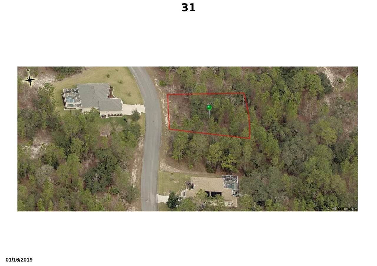 31 Hackberry Drive - Photo 1