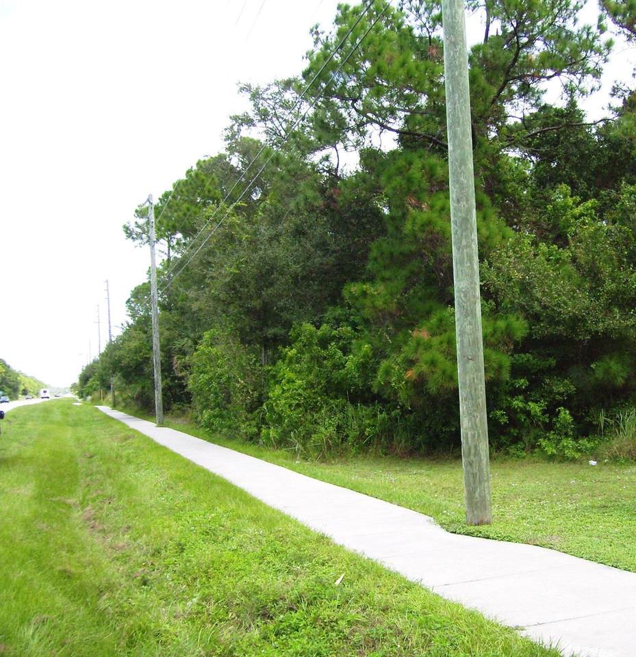 Tbd Turnpike Feeder/Kings Hwy Road - Photo 1