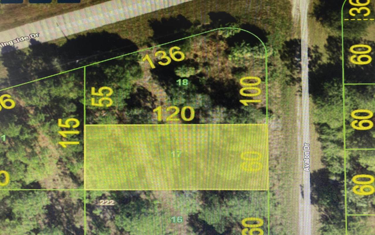 13227 Avalon Drive - Photo 1