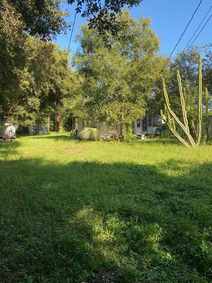 11320 Palm Tree Lane - Photo 1