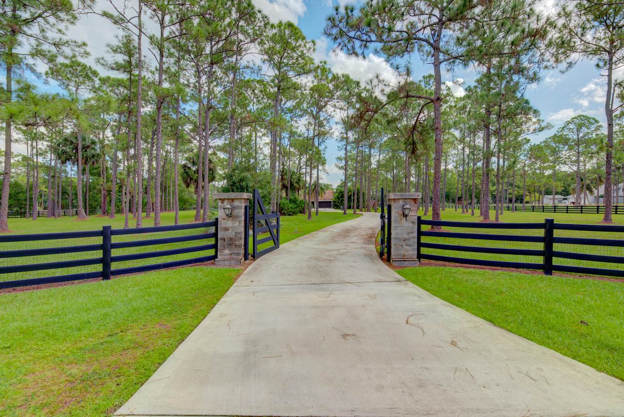 13144 Silver Fox Lane - Photo 1