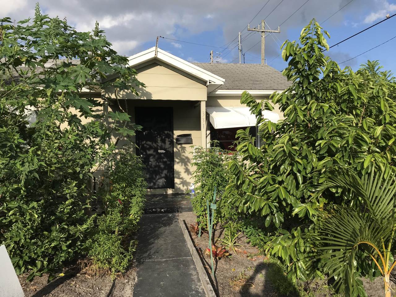 331 H Street - Photo 1