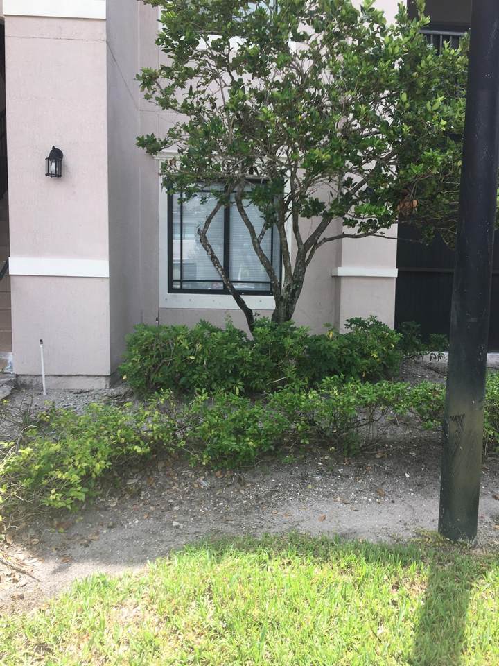 2806 Veronia Drive - Photo 1