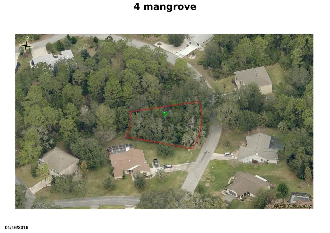 4 Mangrove Court - Photo 1