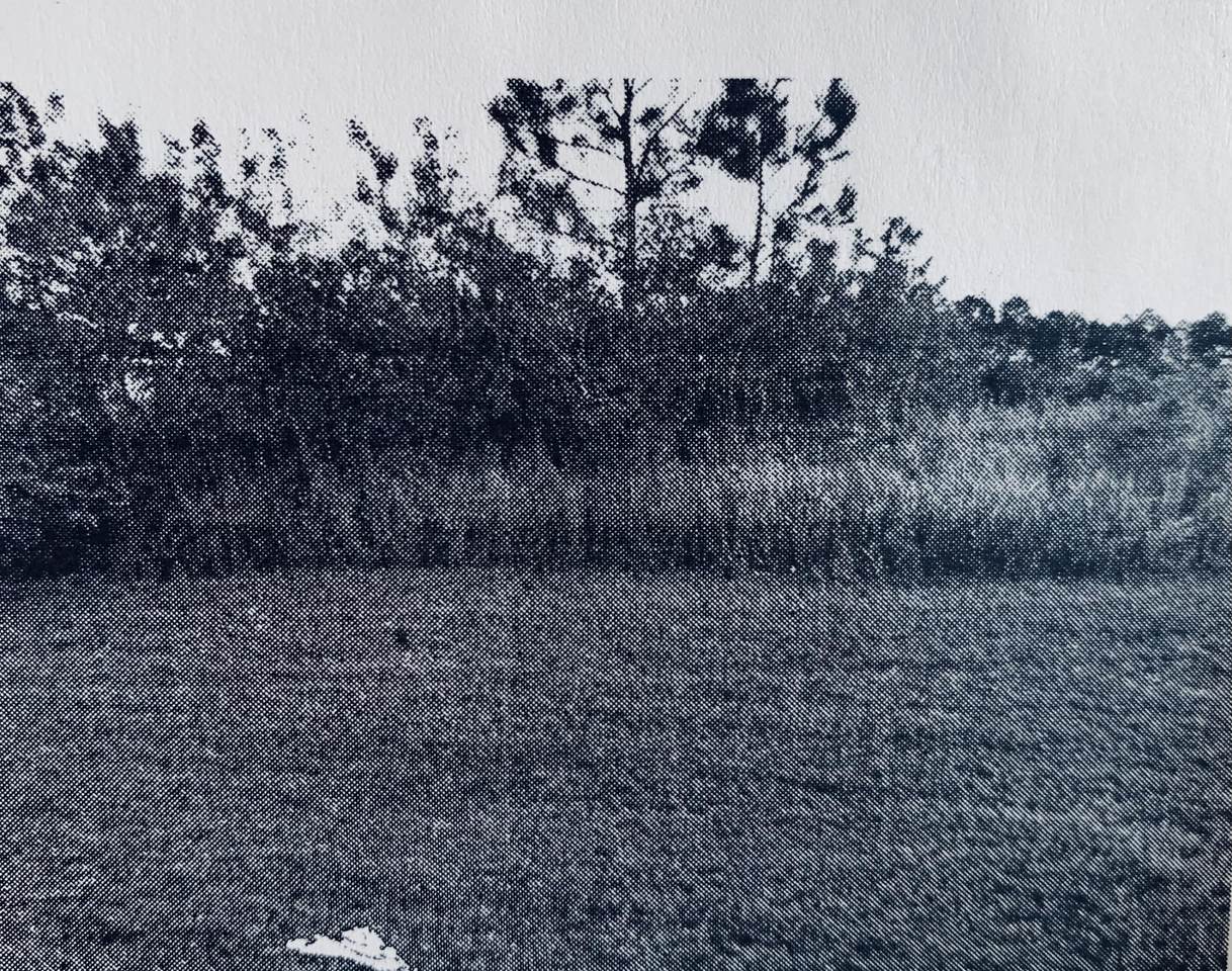 1951 Fanfare Street - Photo 1