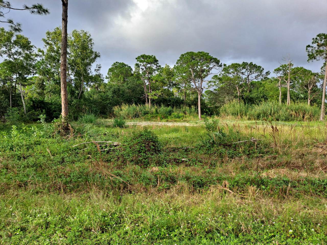 13575 54th Street - Photo 1