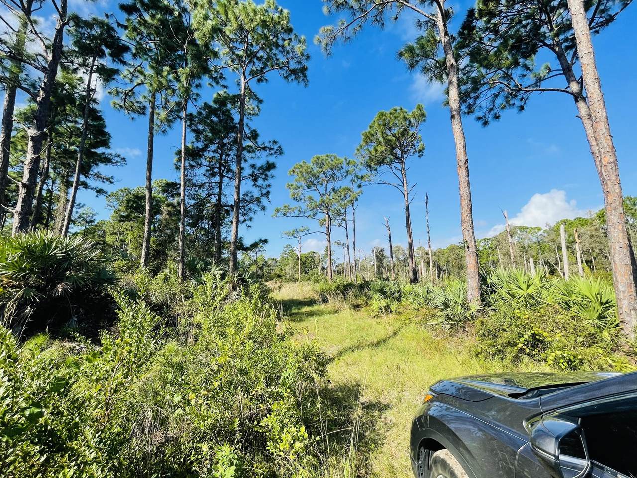 0 Treetop Trail Trail - Photo 1
