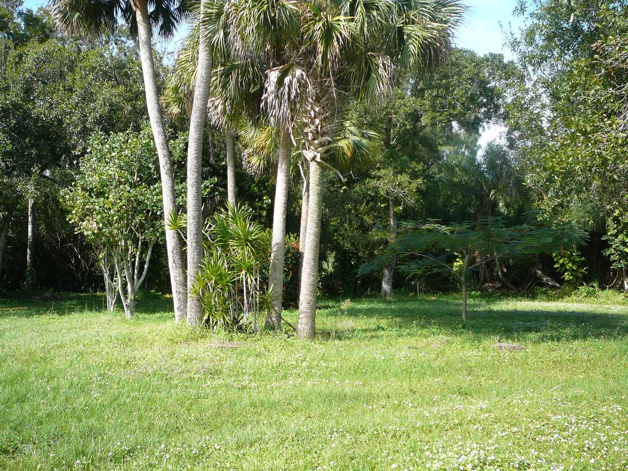0000 Forest Place - Photo 1
