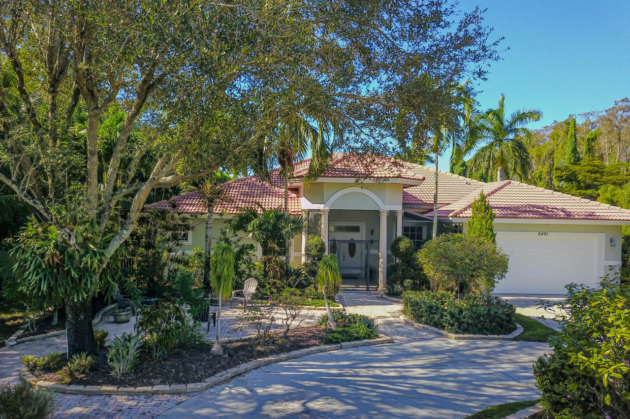 6491 Park Lane - Photo 1