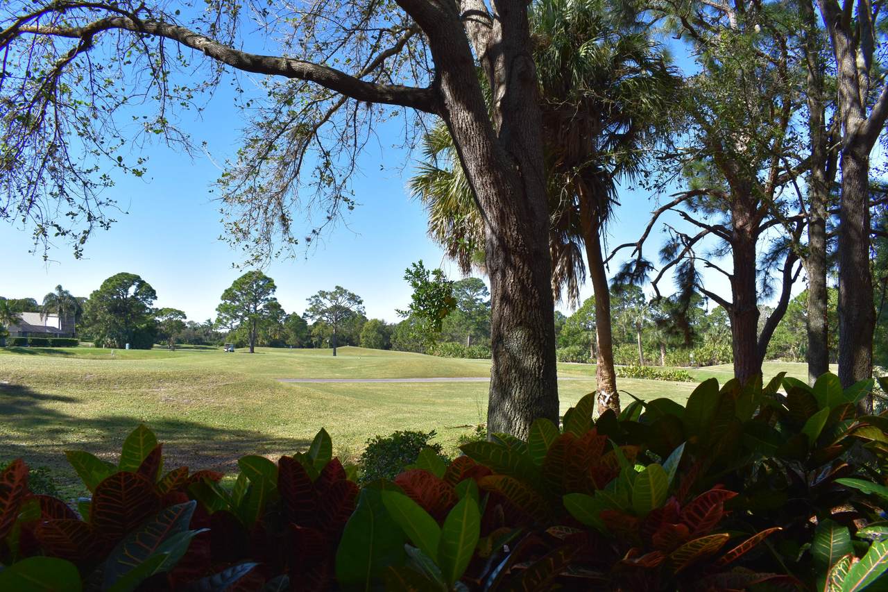 151 Palm Drive - Photo 1