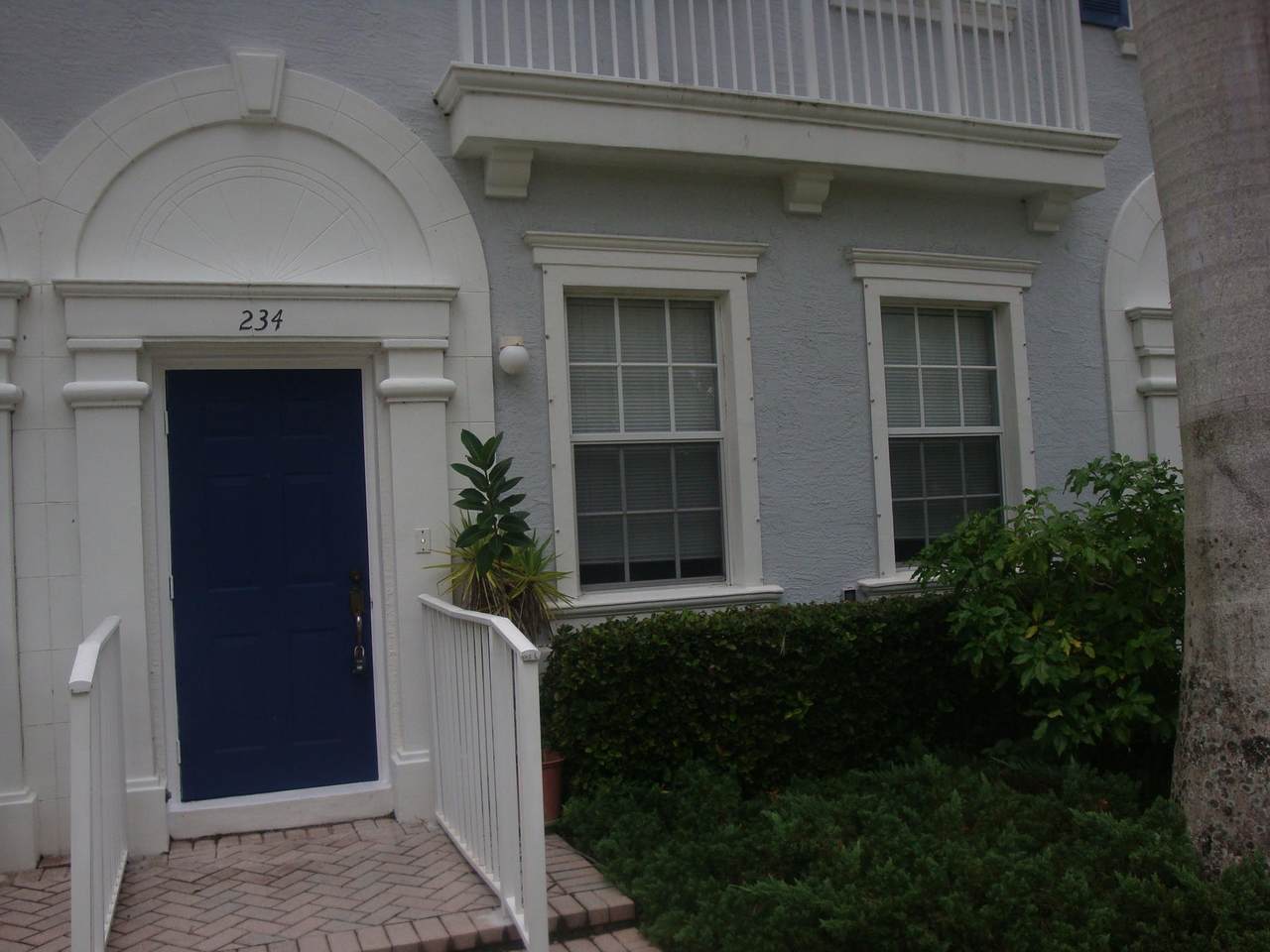 234 Thatch Palm Circle - Photo 1