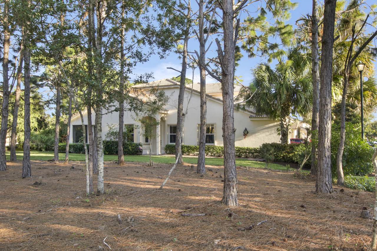 8194 Mulligan Circle - Photo 1