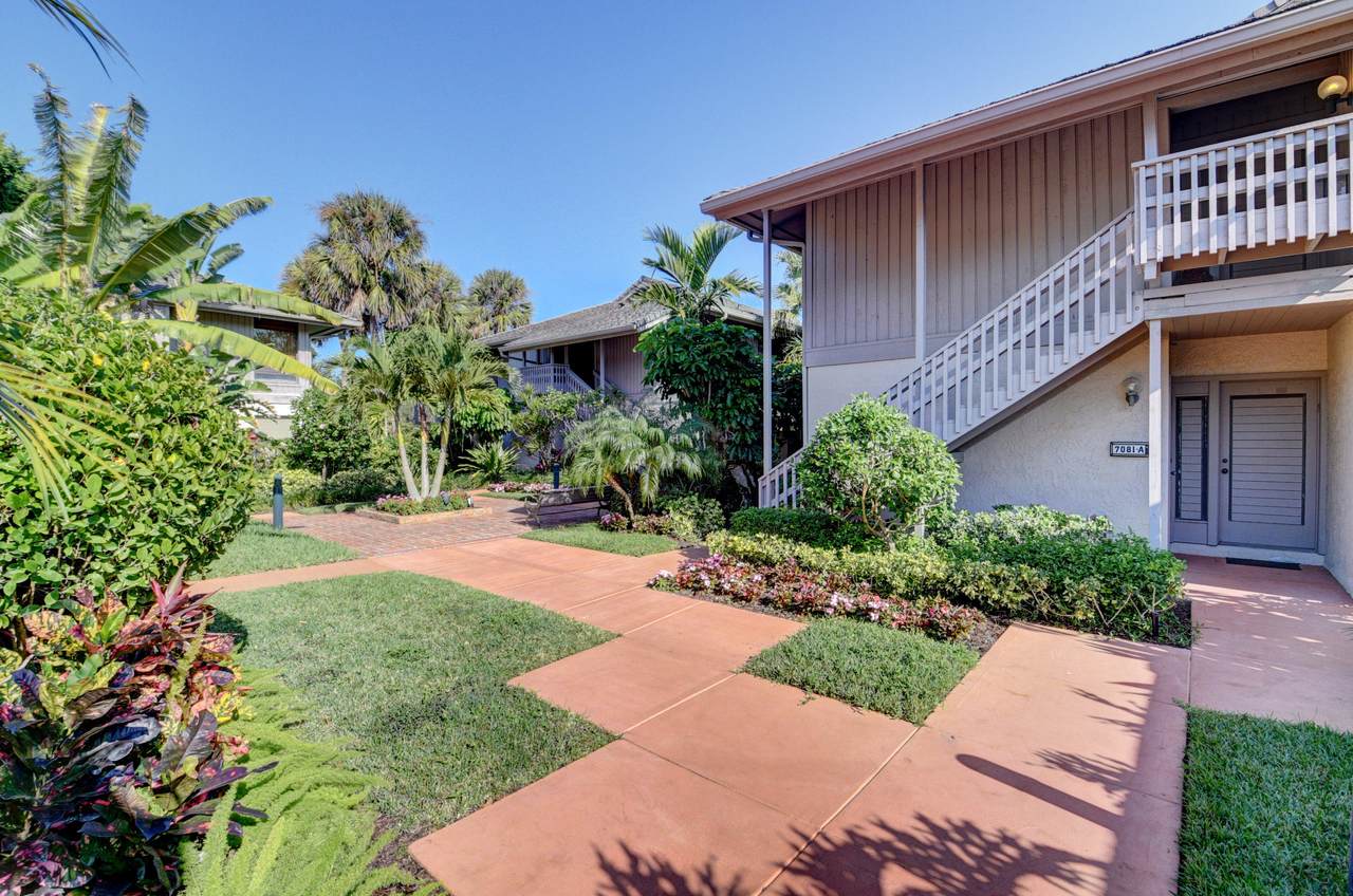 7081 Rain Forest Drive - Photo 1
