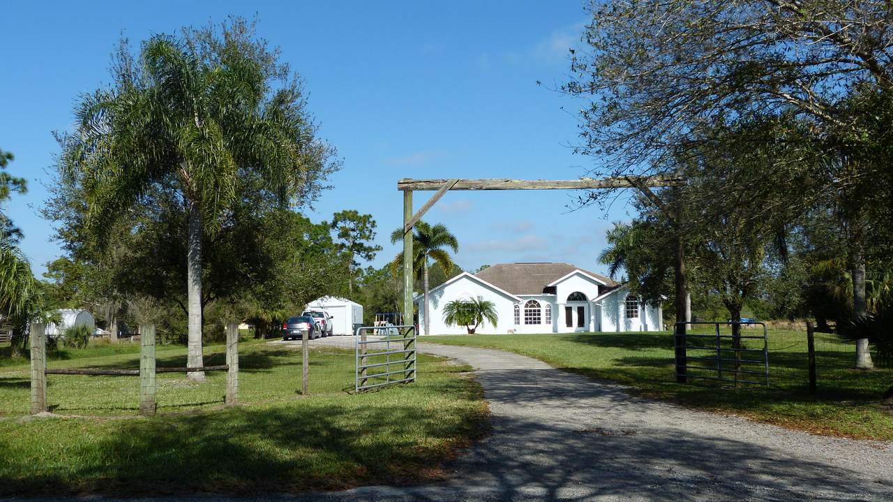 11800 Willis Road - Photo 1