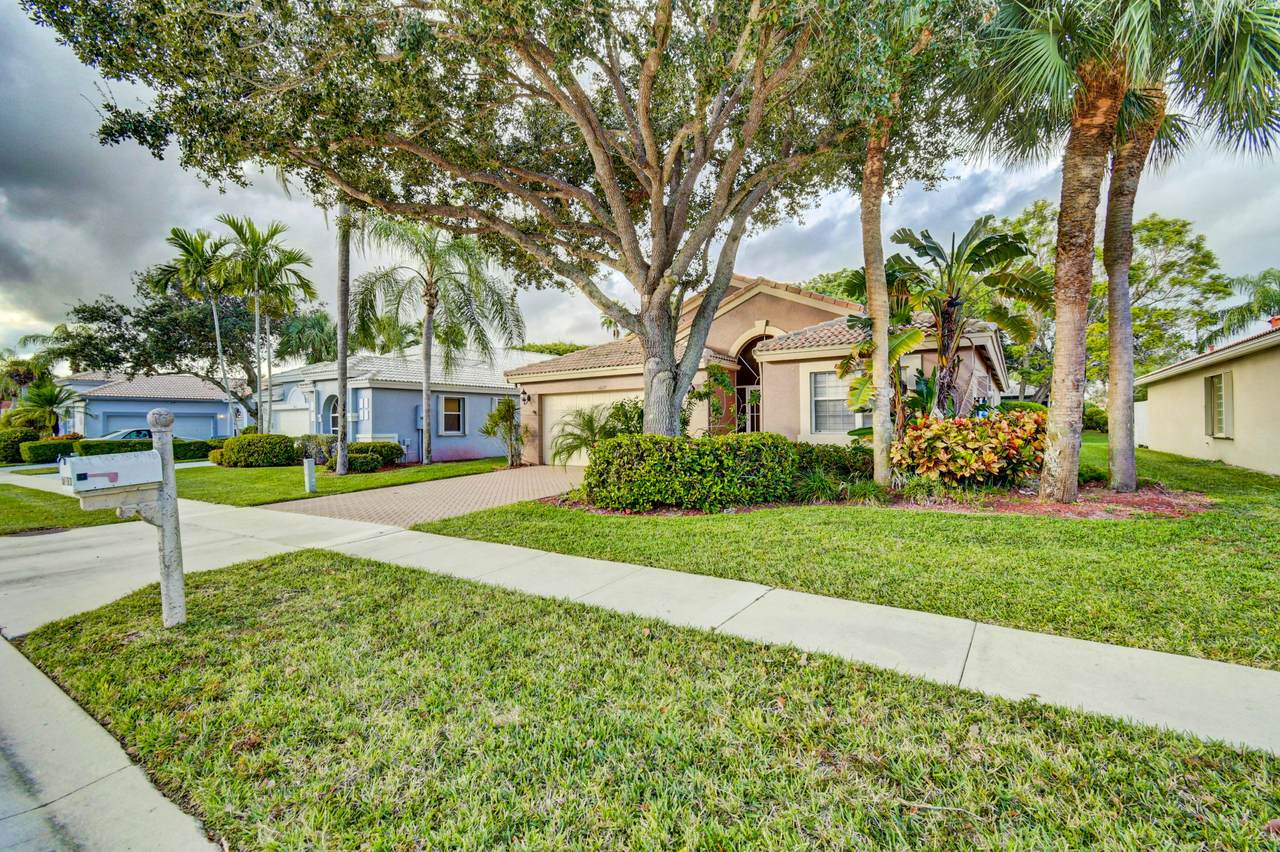 5677 Swaying Palm Lane - Photo 1