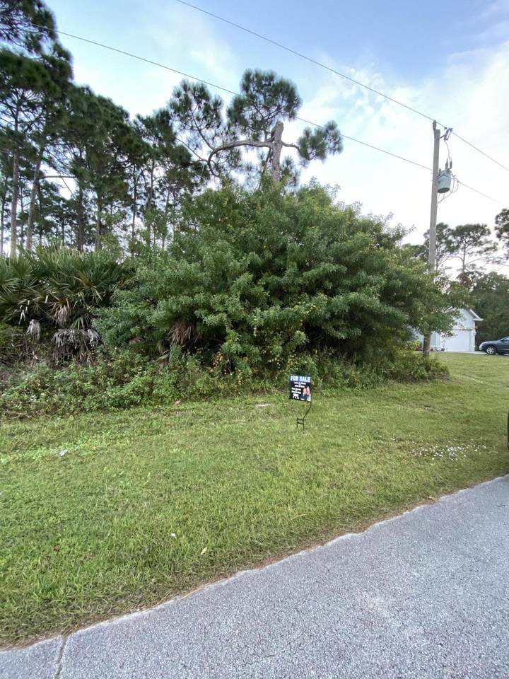 3265 Fillmore Street - Photo 1
