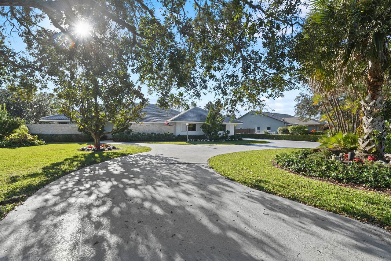 4384 Caryota Drive - Photo 1