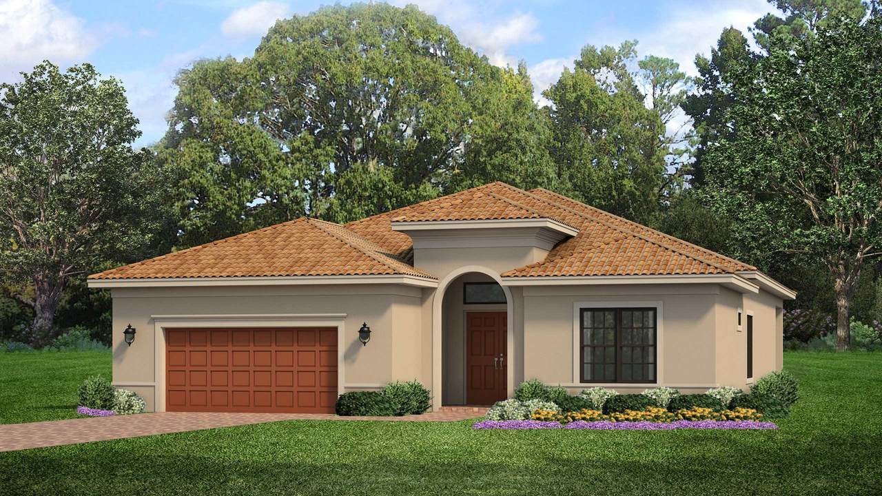 5564 Star Apple Street - Photo 1