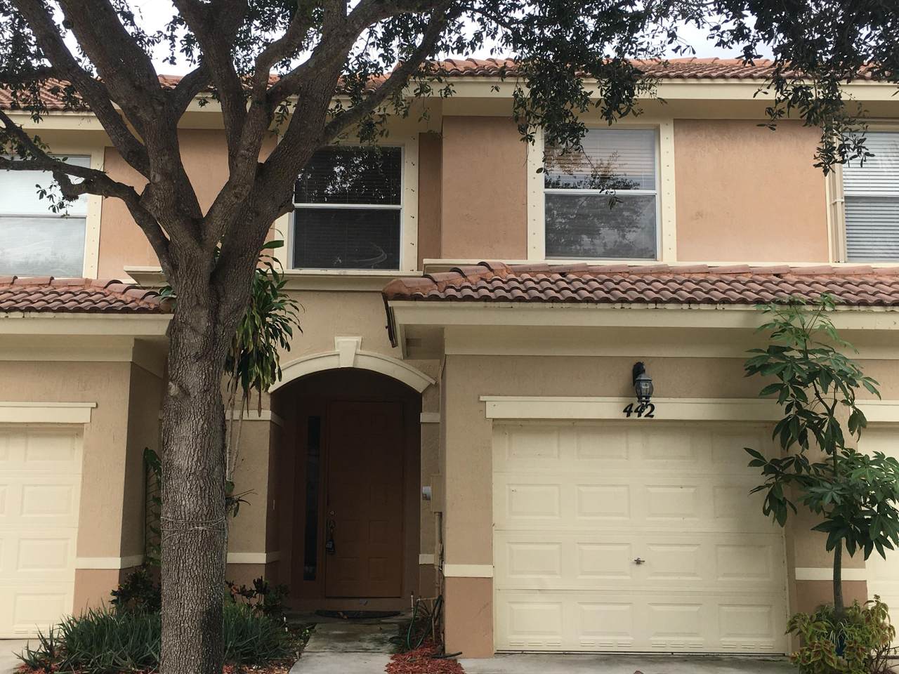 442 Rainbow Springs Terrace - Photo 1
