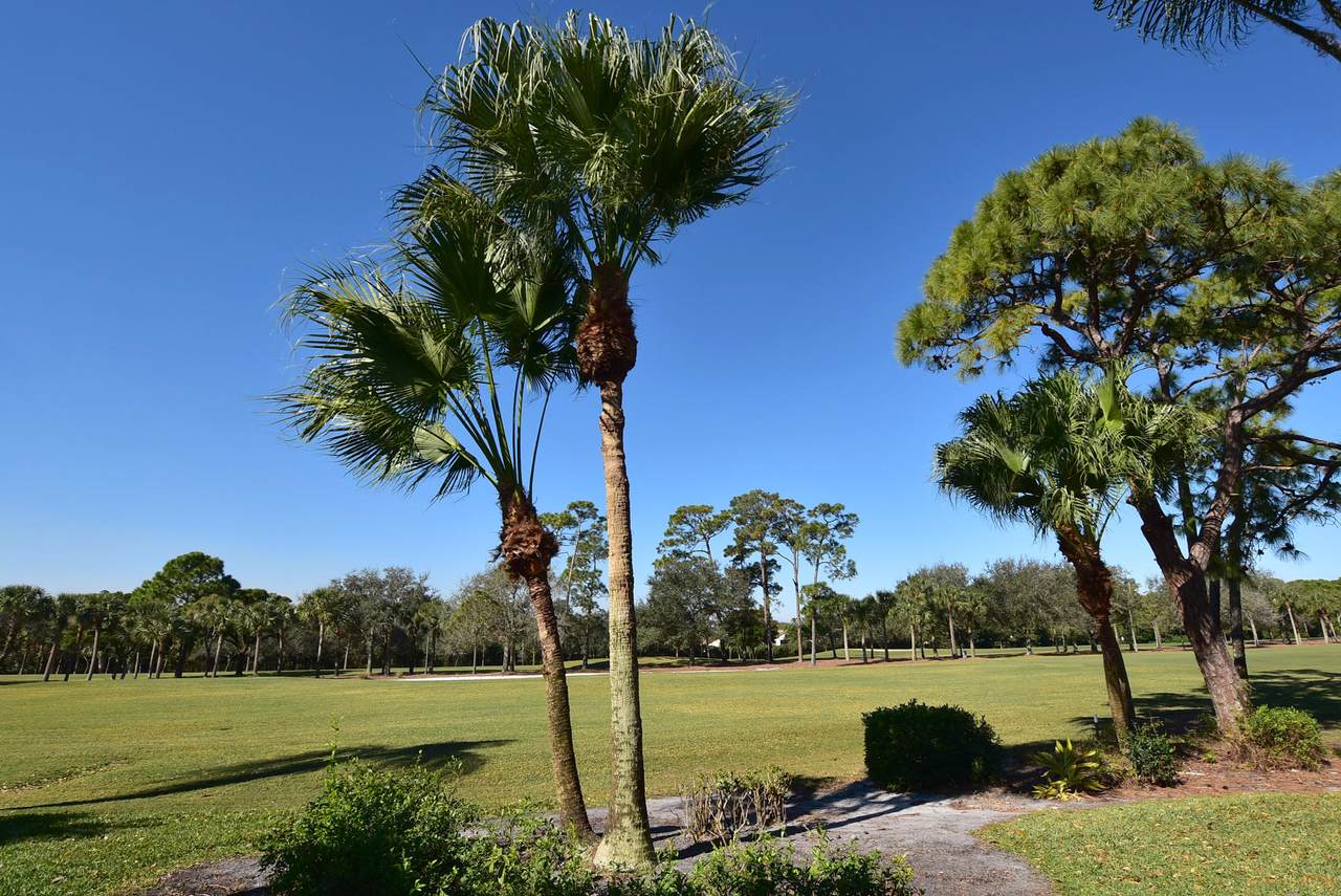 10243 Quail Covey Road - Photo 1
