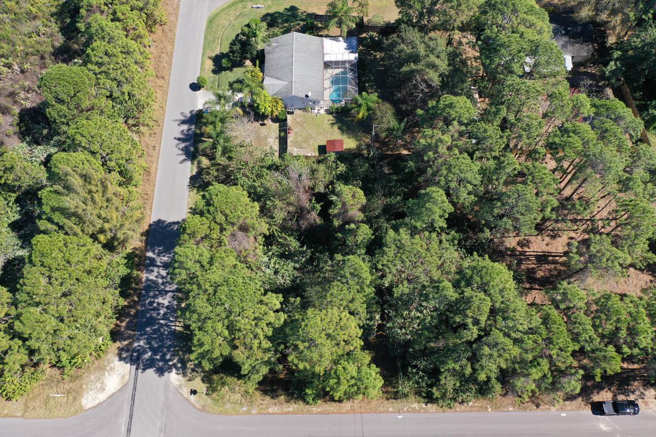 1305 Amelia Avenue - Photo 1