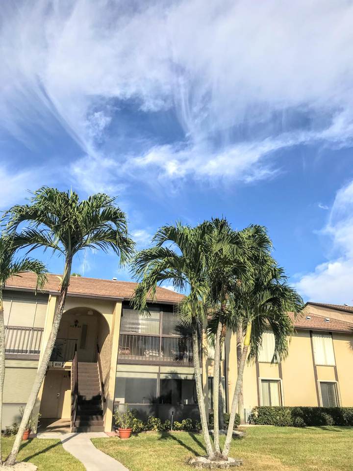 814 Sky Pine Way - Photo 1